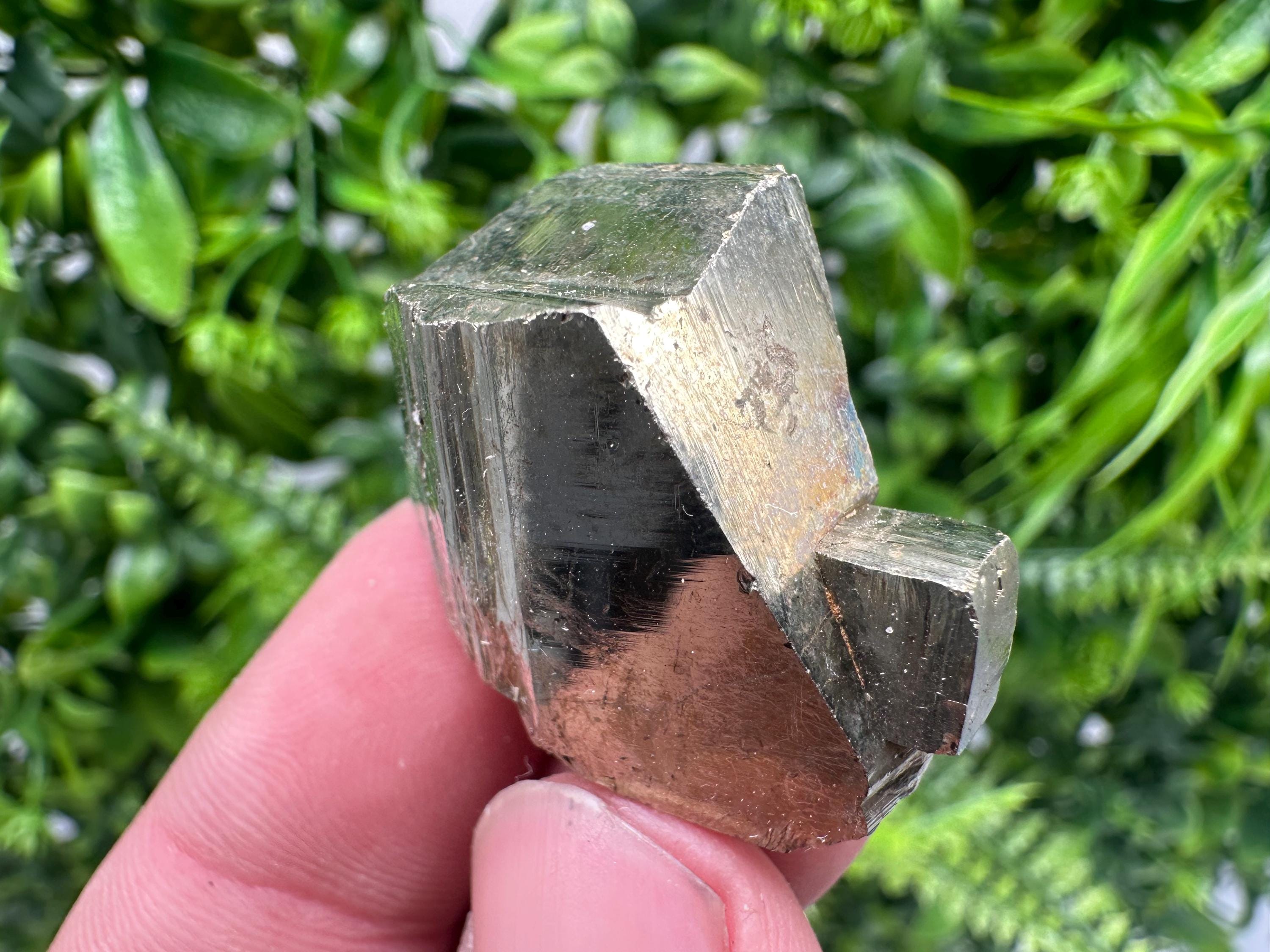 Rare crystallisation Pyrite,Borieva mine,Bulgaria,floating Pyrite,golden Pyrite,Pyrite cluster,mini Collection specimen,Rainbow Pyrite