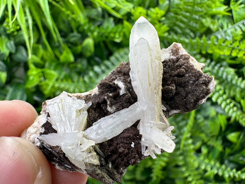 Quartz with Chlorite on Rhodochrosite and Siderite
