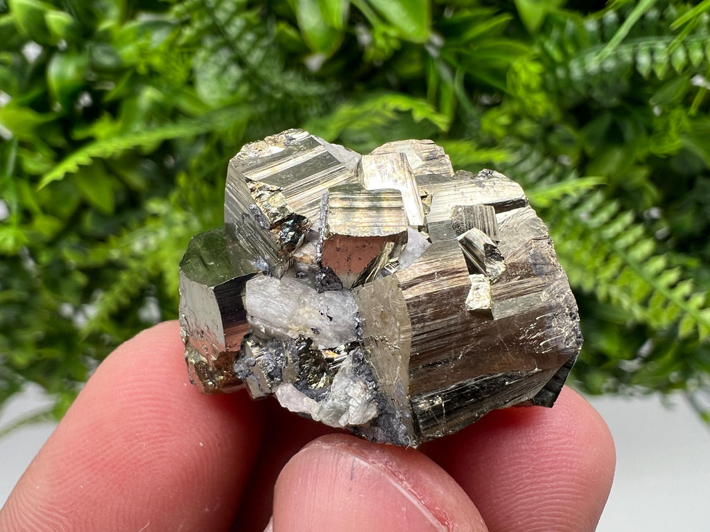 Mini Rainbow Pyrite Cluster: Borieva Mine, Bulgaria