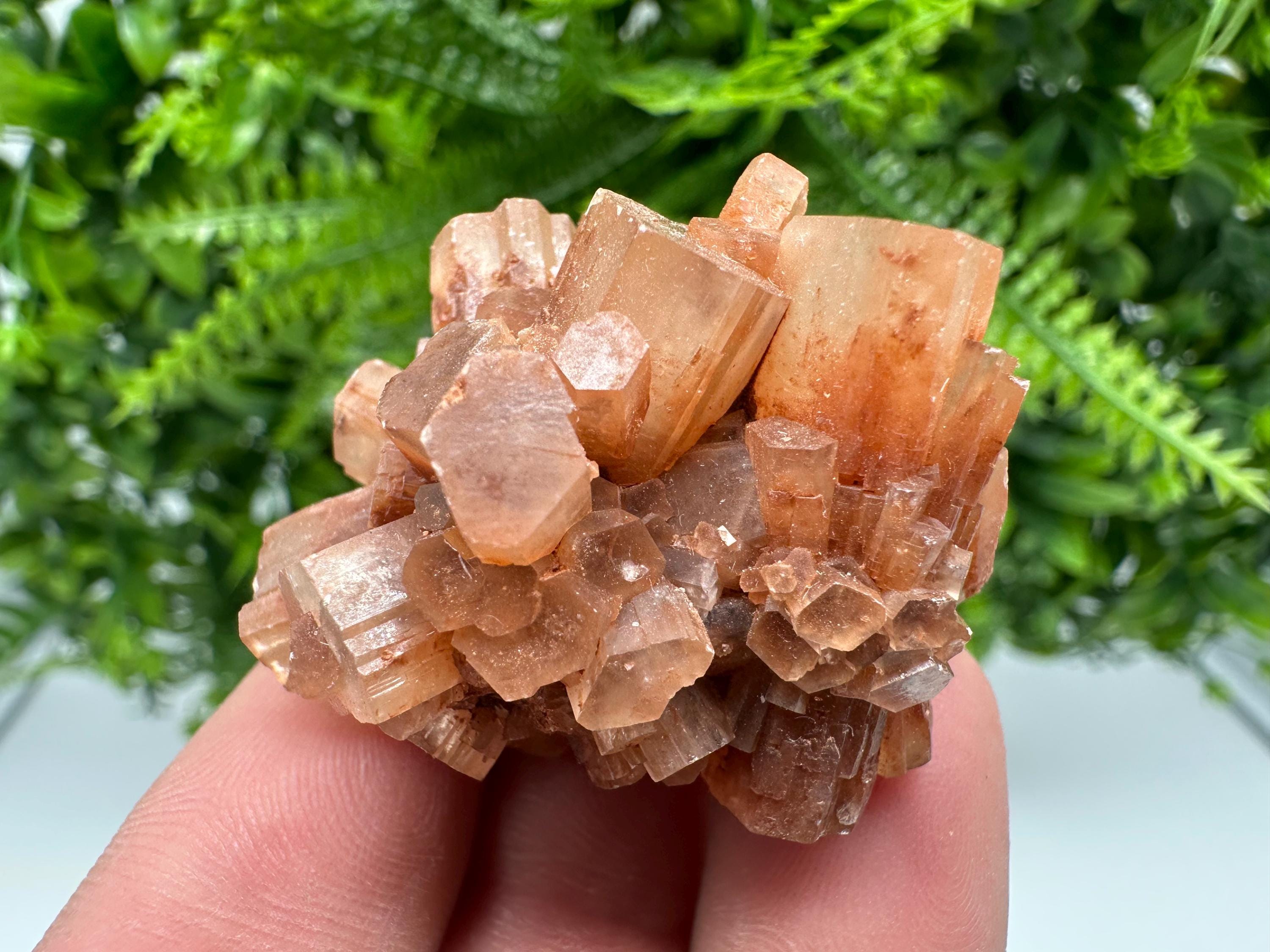 Moroccan Aragonite Sputnik Cluster: Raw Crystal Stone Decor