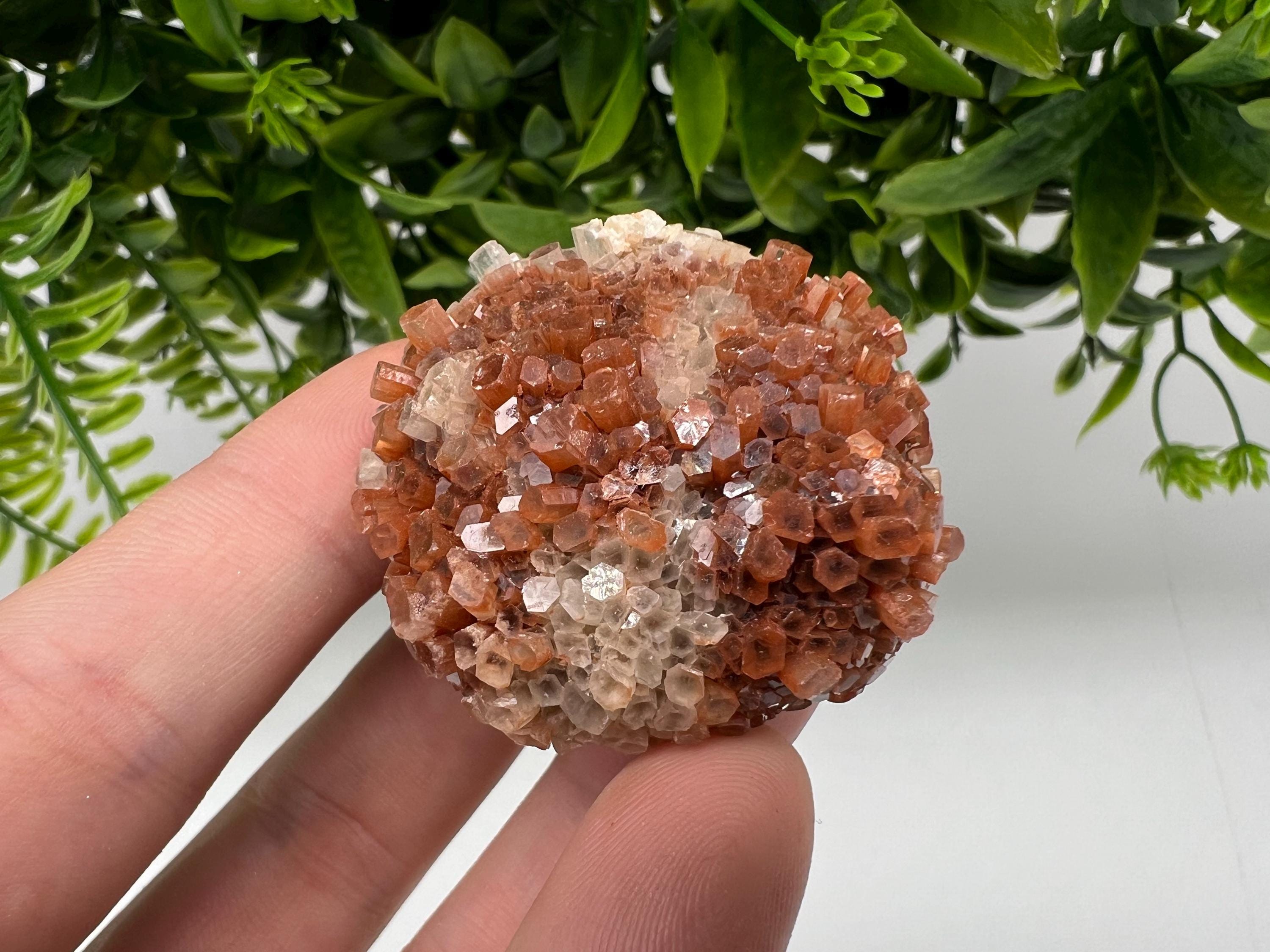 Extra Large Aragonite Sputnik Cluster: Moroccan Raw Crystal Stone