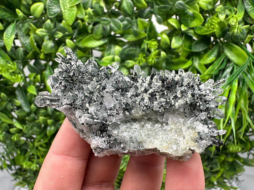 Chlorite Quartz Crystal Cluster - Borieva Mine, Bulgaria