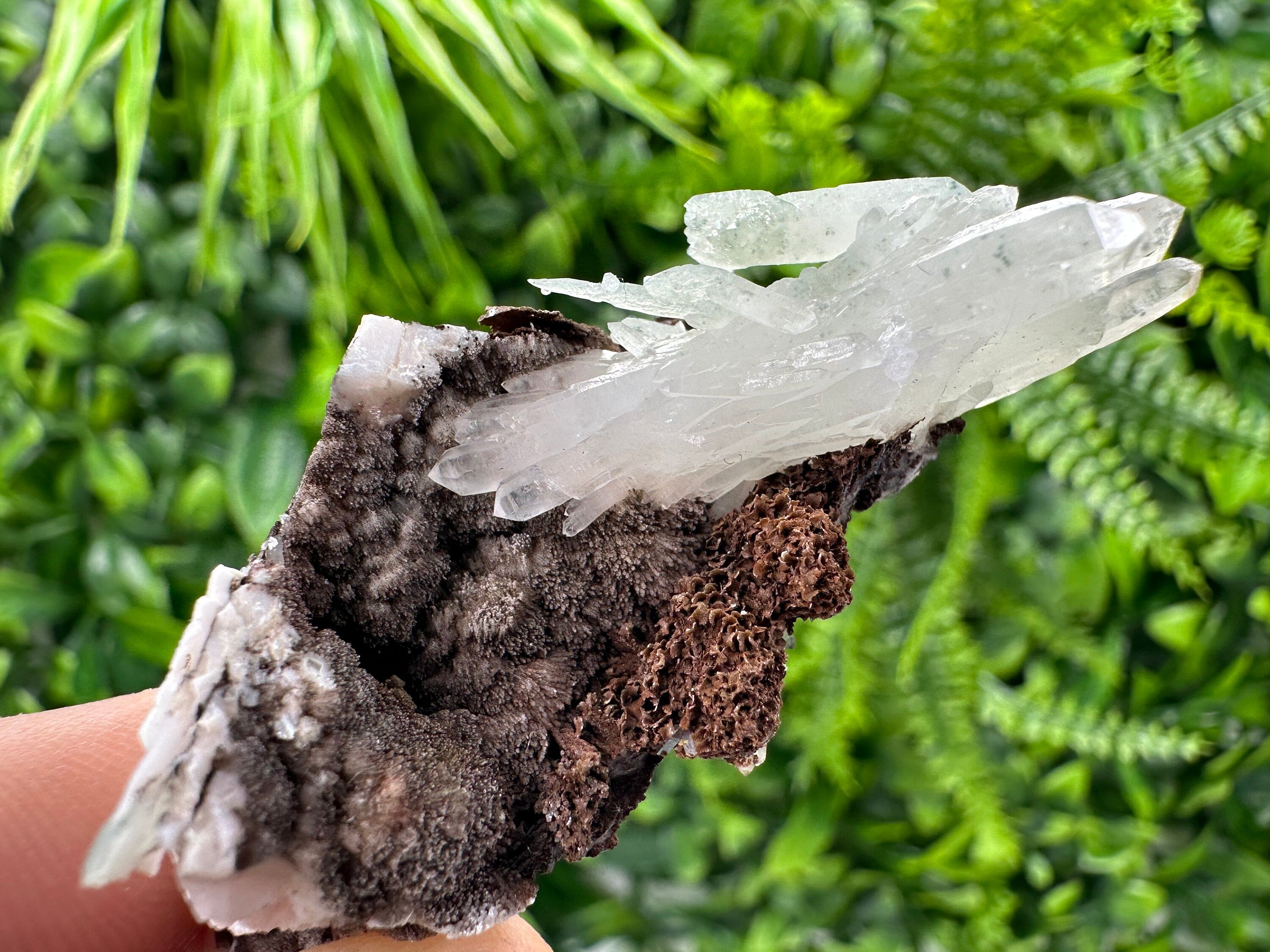 Quartz with Chlorite on Rhodochrosite and Siderite Mineral Specimen