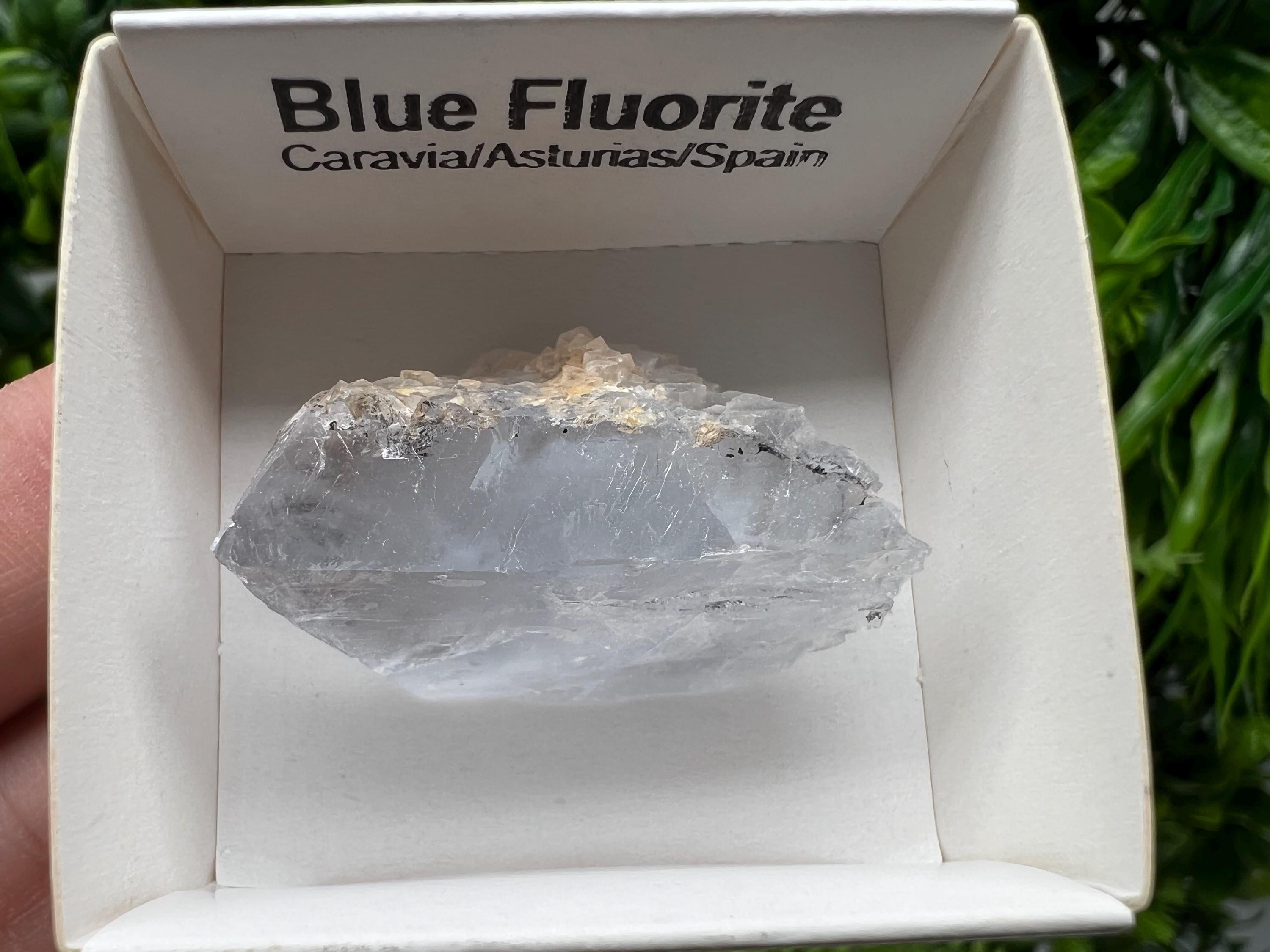 Blue Fluorite Mineral Specimen: Spain Collection (3.5/2.5cm)