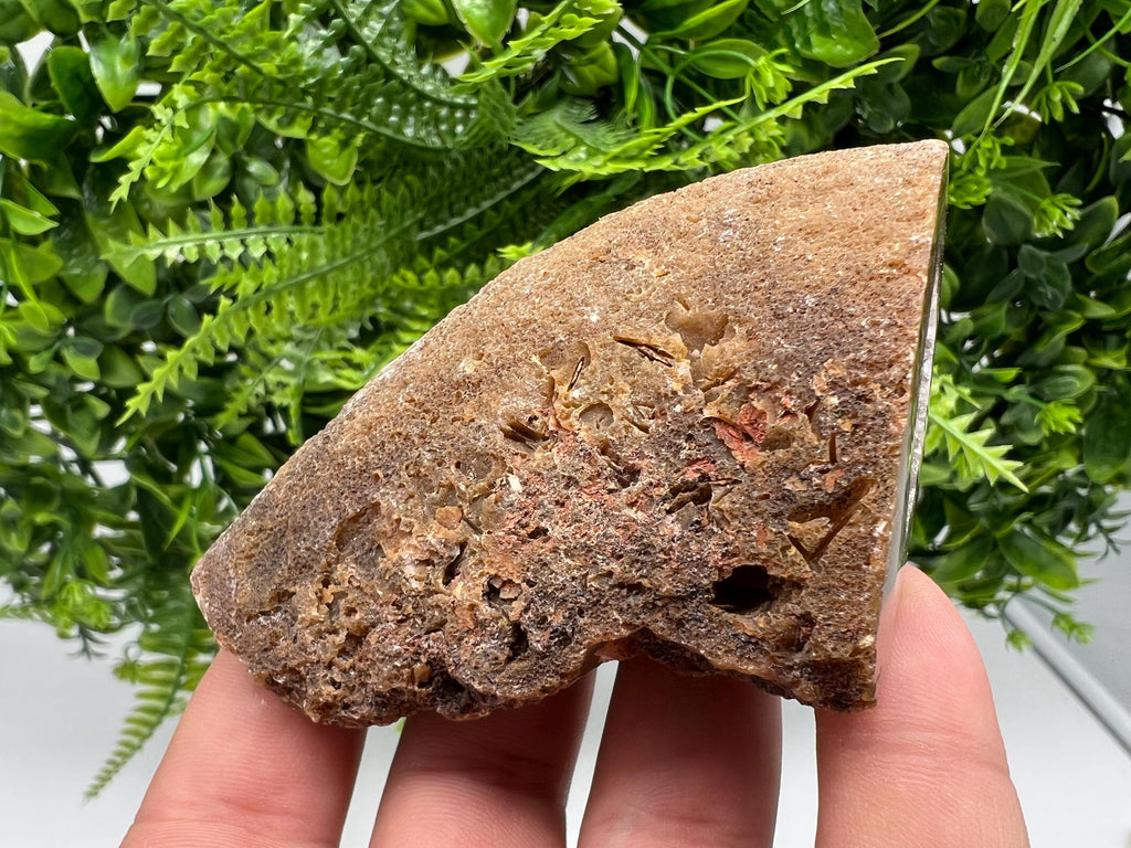 Natural Agate Druzy Geode, Crystal Quartz
