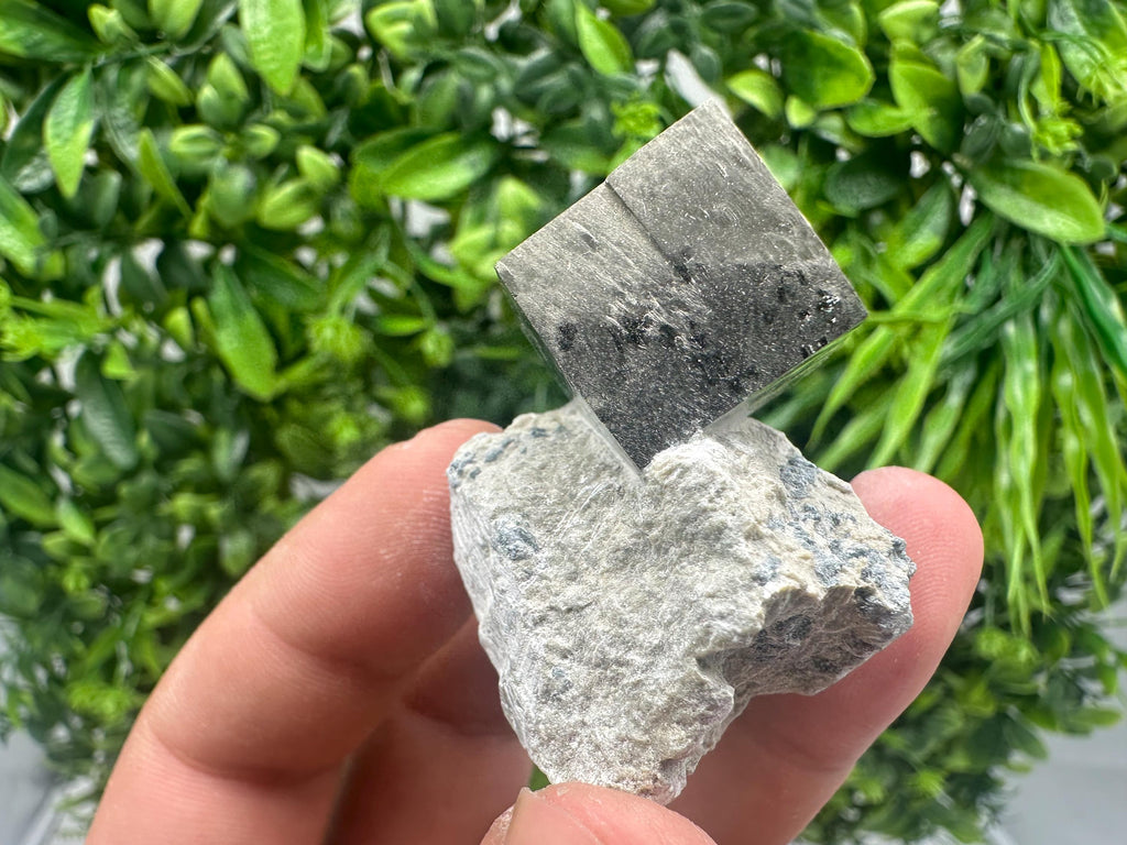 Large Pyrite cubes on Matrix,Gold,Cube PYRITE, Navajun, La Rioja,SPAIN,natural Pyrite shiny Pyrite home decor stone gift minerals,collectibl