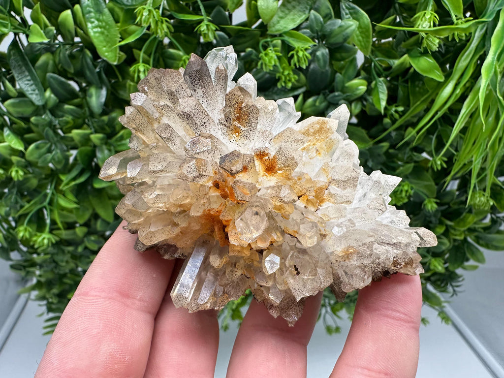 Transparent Quartz whit Siderite 9th September mine Bulgaria natural minerals souvenir crystal stone gift minerals collection rock