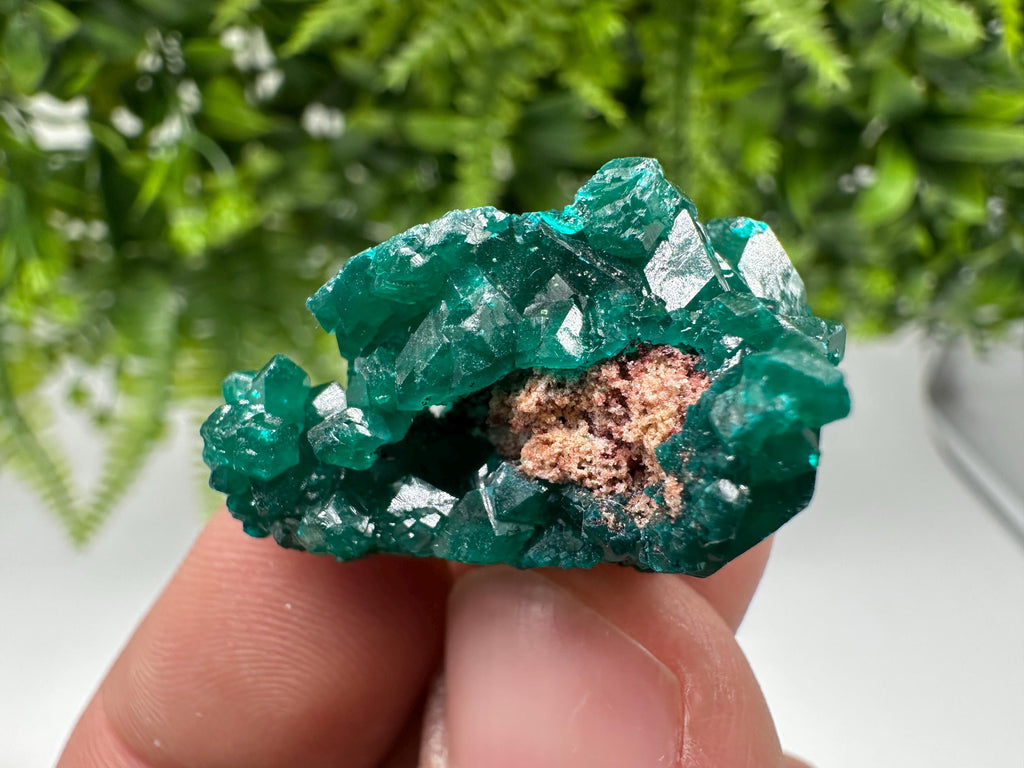 Green Dioptase Crystal Specimen, Sanda Hills Congo Mineral, Collector\'s Piece
