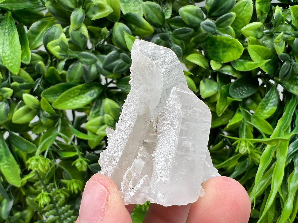 Transparent Quartz on Chlorite Matrix, Borieva Mine, Bulgaria