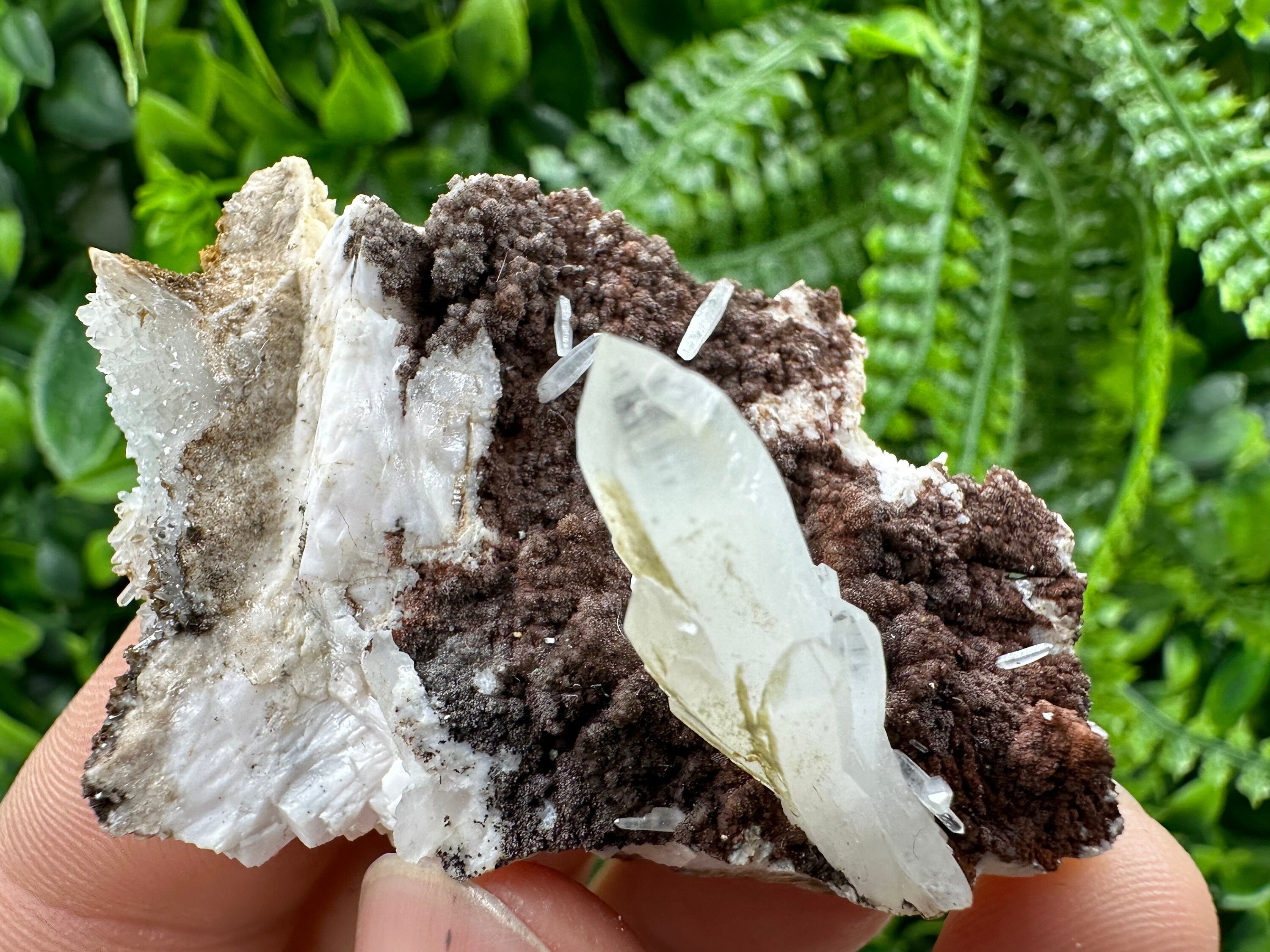 Quartz with Chlorite on Rhodochrosite and Siderite Mineral Specimen