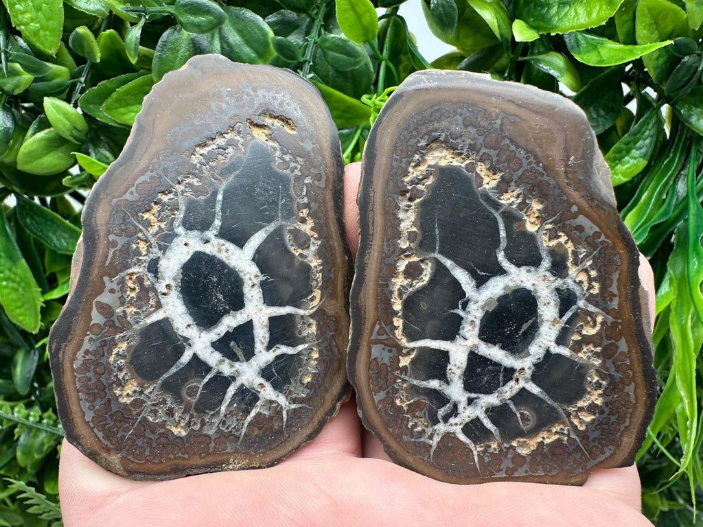 Septarian Nodule Geode Pair: Dragonstone Aragonite Limestone