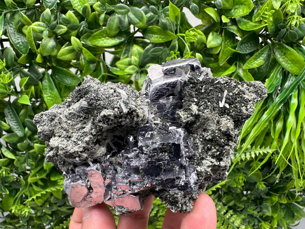 Galena Calcite on Chlorite Matrix Mineral Specimen, Bulgaria