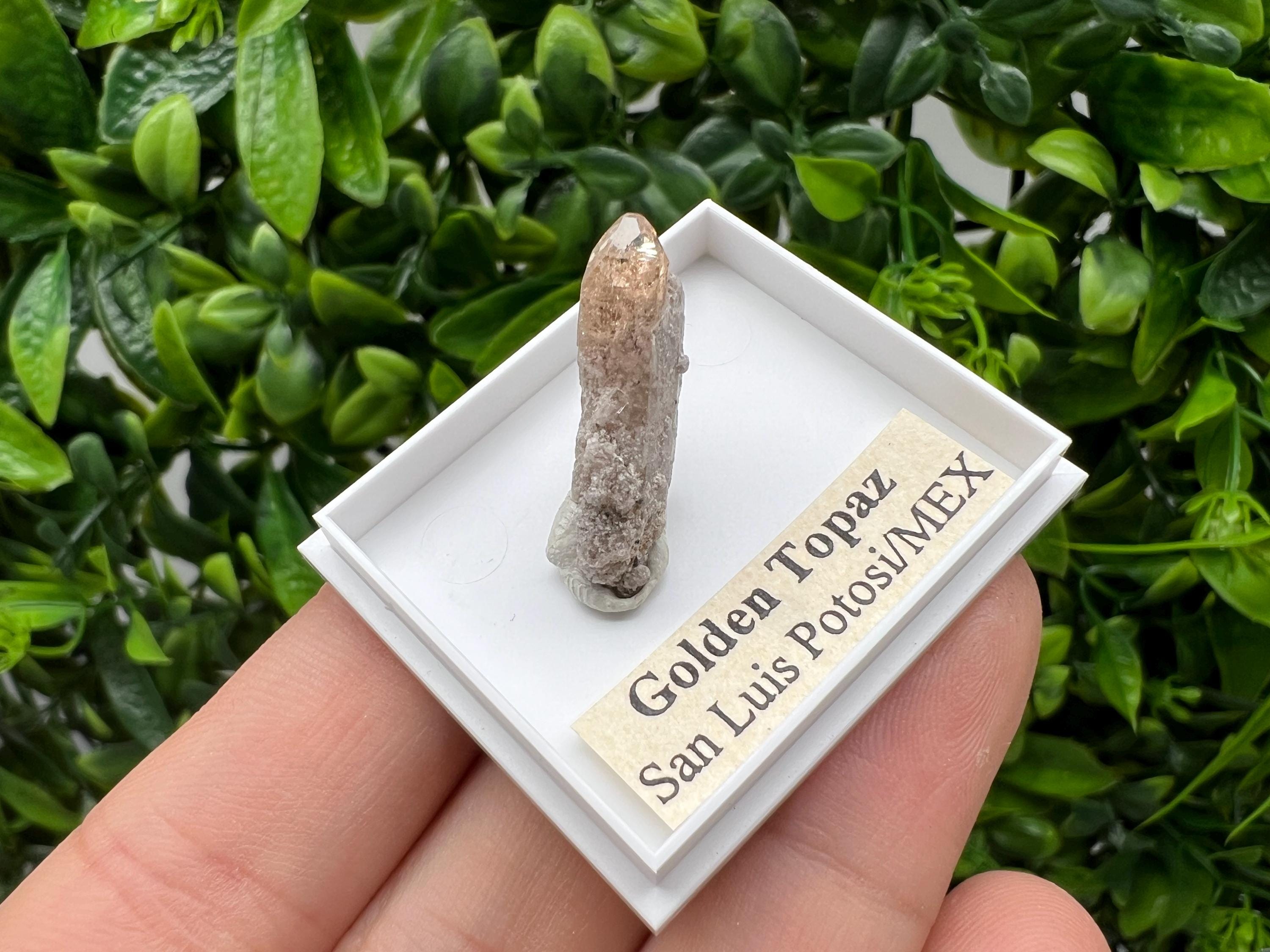 Beautiful Golden Topaz from Mexico,collection piece Crystal,Mineral,collectibles,Collectors, Natural Crystal, Minerals from Mexico,original,