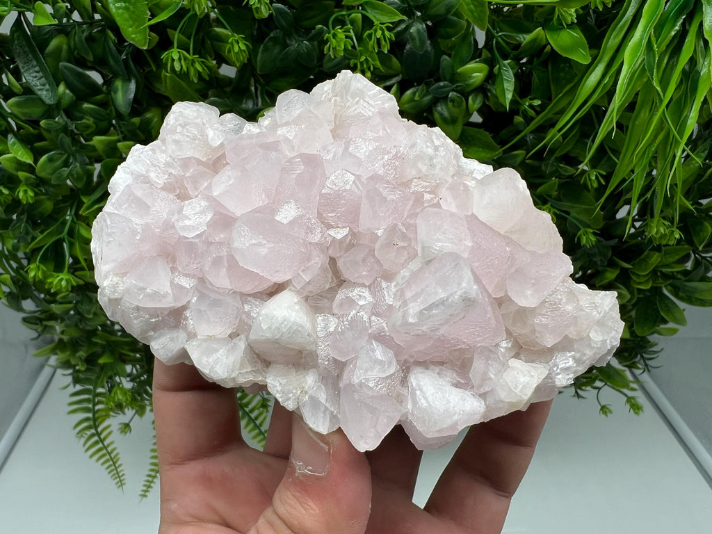 UV Reactive Mangano Calcite Crystal: Androvo Mine, Bulgaria