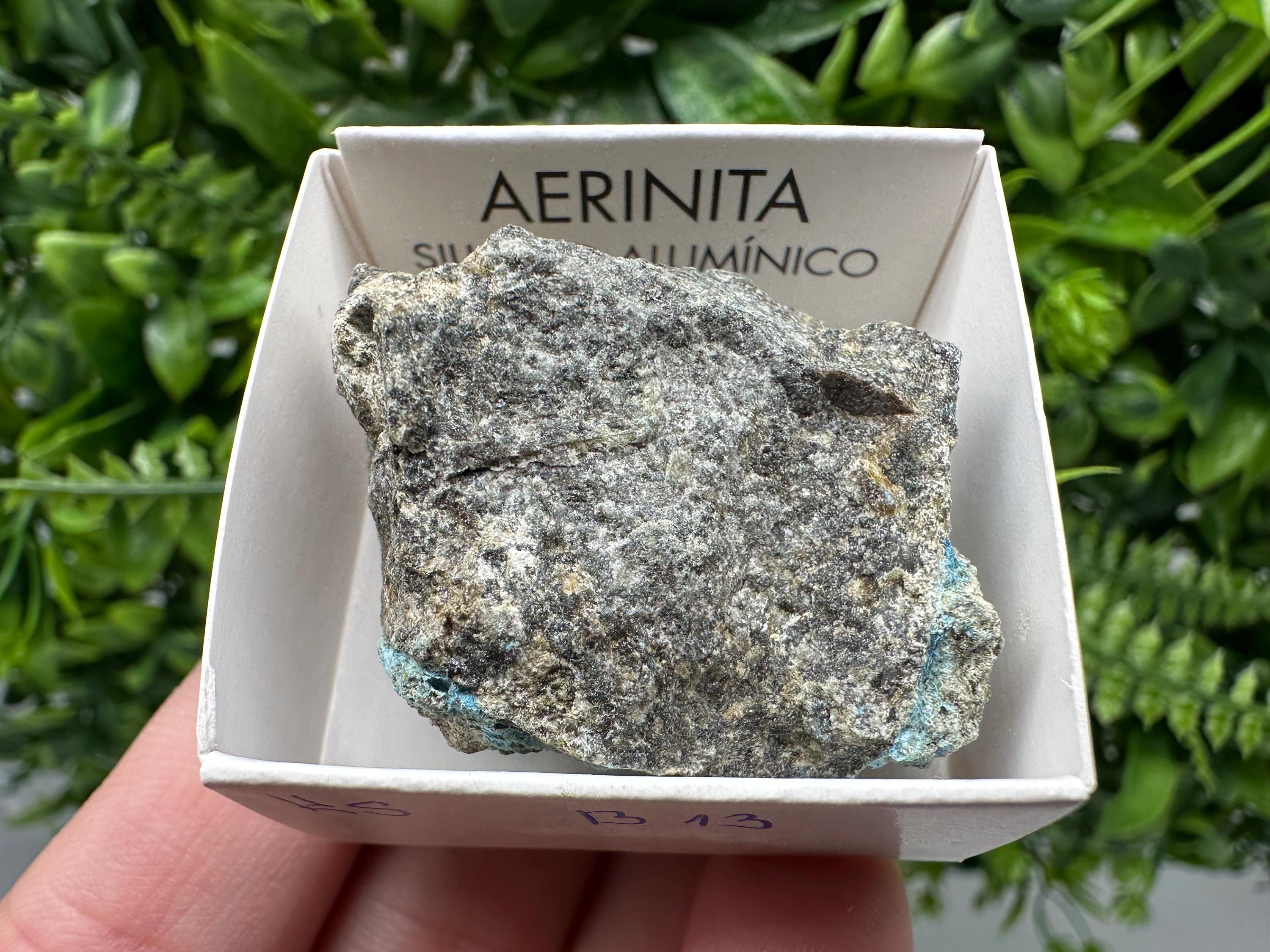 Rare Raw Aerinite Mineral Specimen: Lleida, Spain Crystal