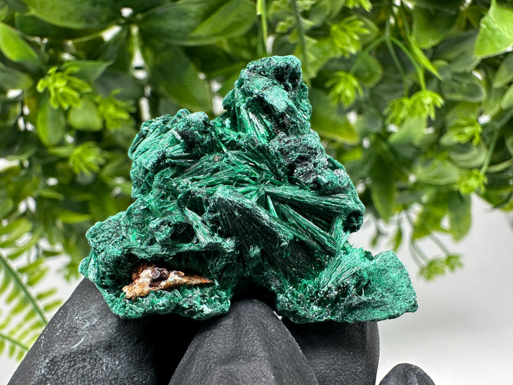 Malachite Crystal from Congo,Minerals,Crystals from Congo,Green Malachite, Malachite,Natural Malachite,Malachite Stone,Chakra, Specimens