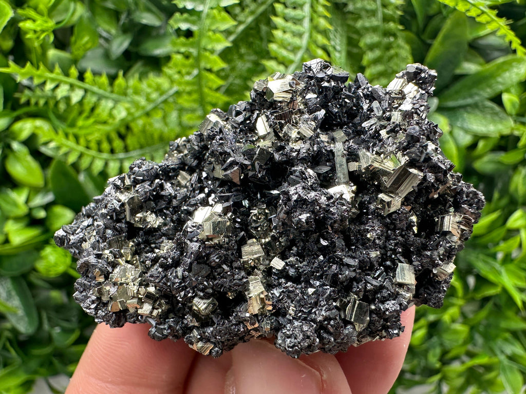 Golden Pyrite with Sphalerite, Borieva Mine Mineral Specimen