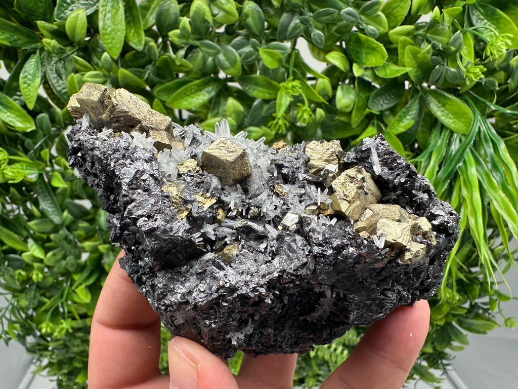 Chalcopyrite with Sphalerite on Quartz, Borieva Bulgaria