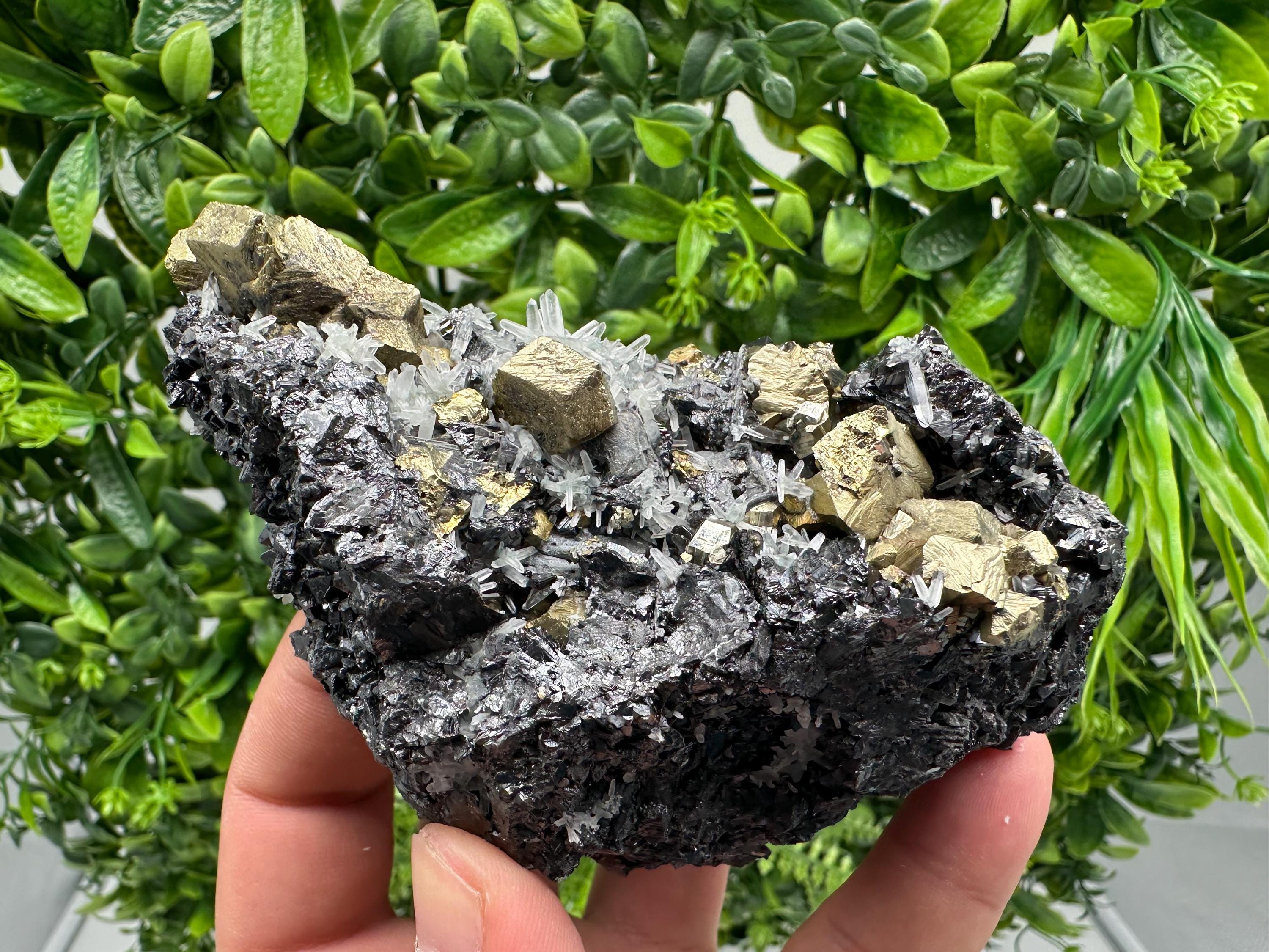 Chalcopyrite with Sphalerite on Quartz, Borieva Bulgaria