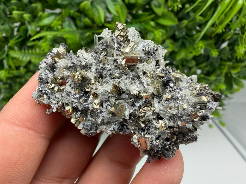 Pyrite on Green Quartz Mineral Specimen, Borieva Mine, Bulgaria