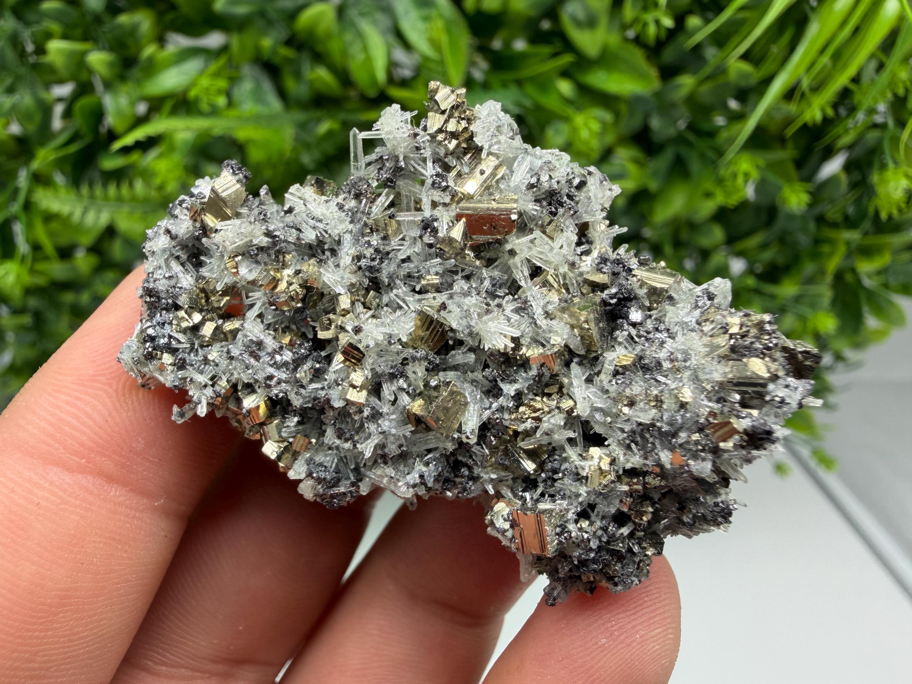 Pyrite on Green Quartz Mineral Specimen, Borieva Mine, Bulgaria