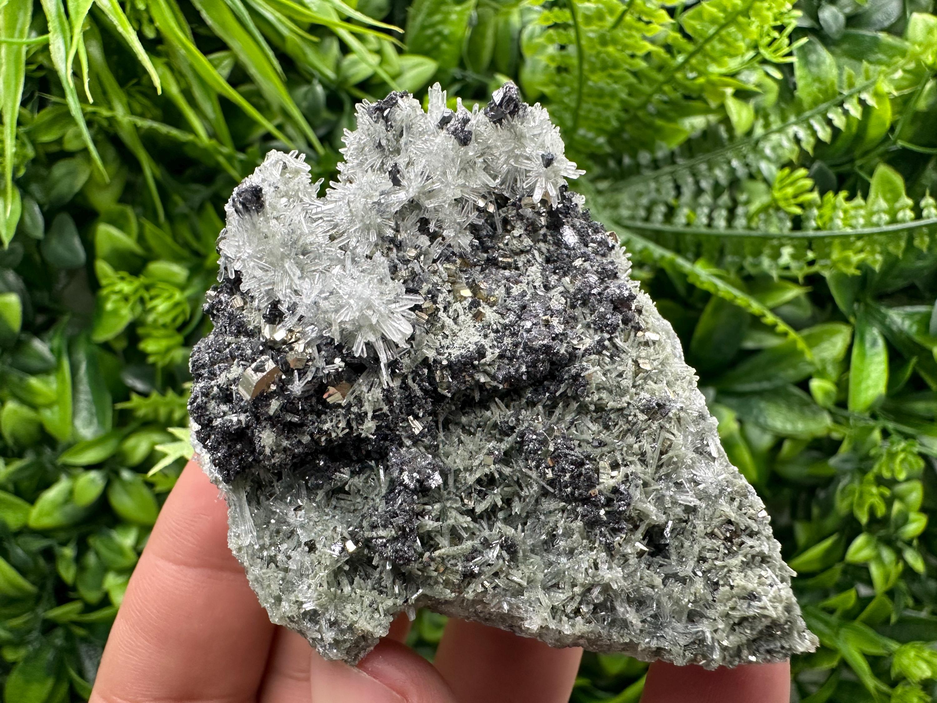 Sphalerite Pyrite on Quartz with Chlorite, Borieva Mine Mineral Specimen