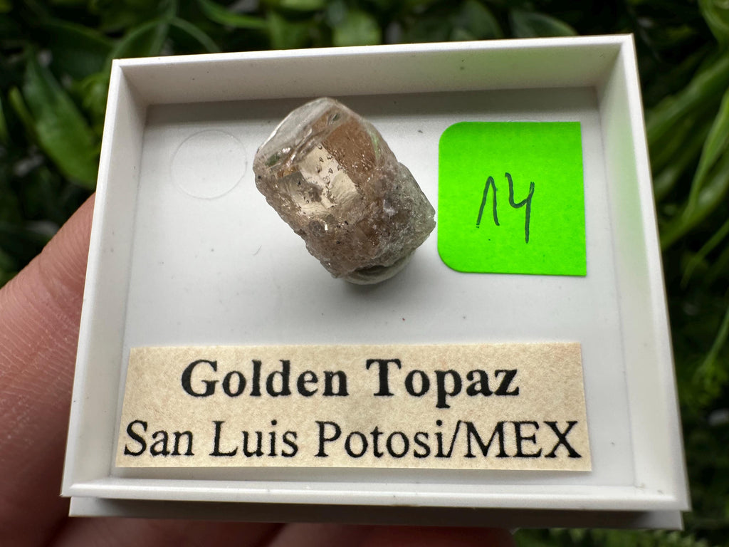 Golden Topaz Crystal, Mineral Specimen from Mexico