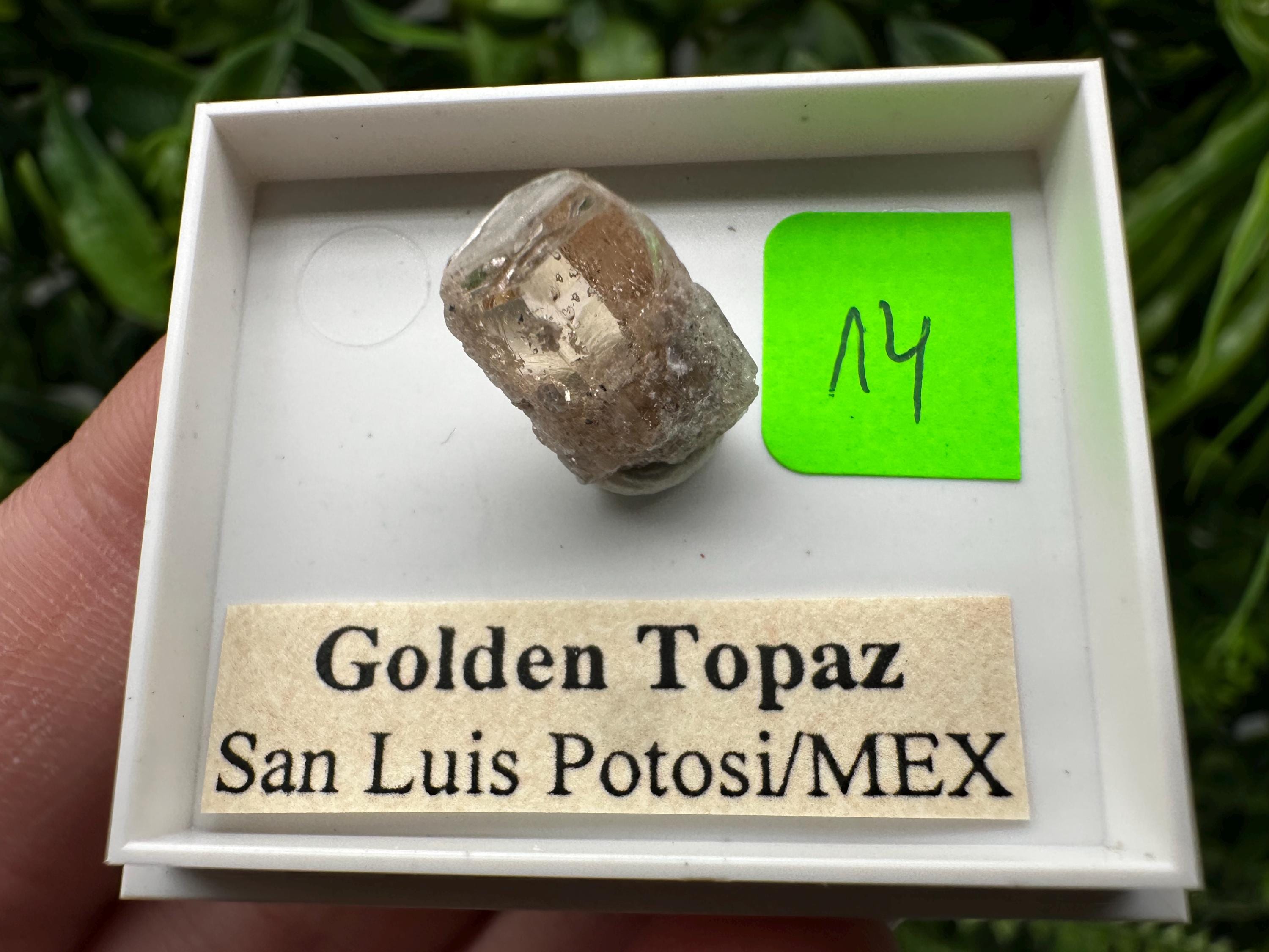 Golden Topaz Crystal, Mineral Specimen from Mexico