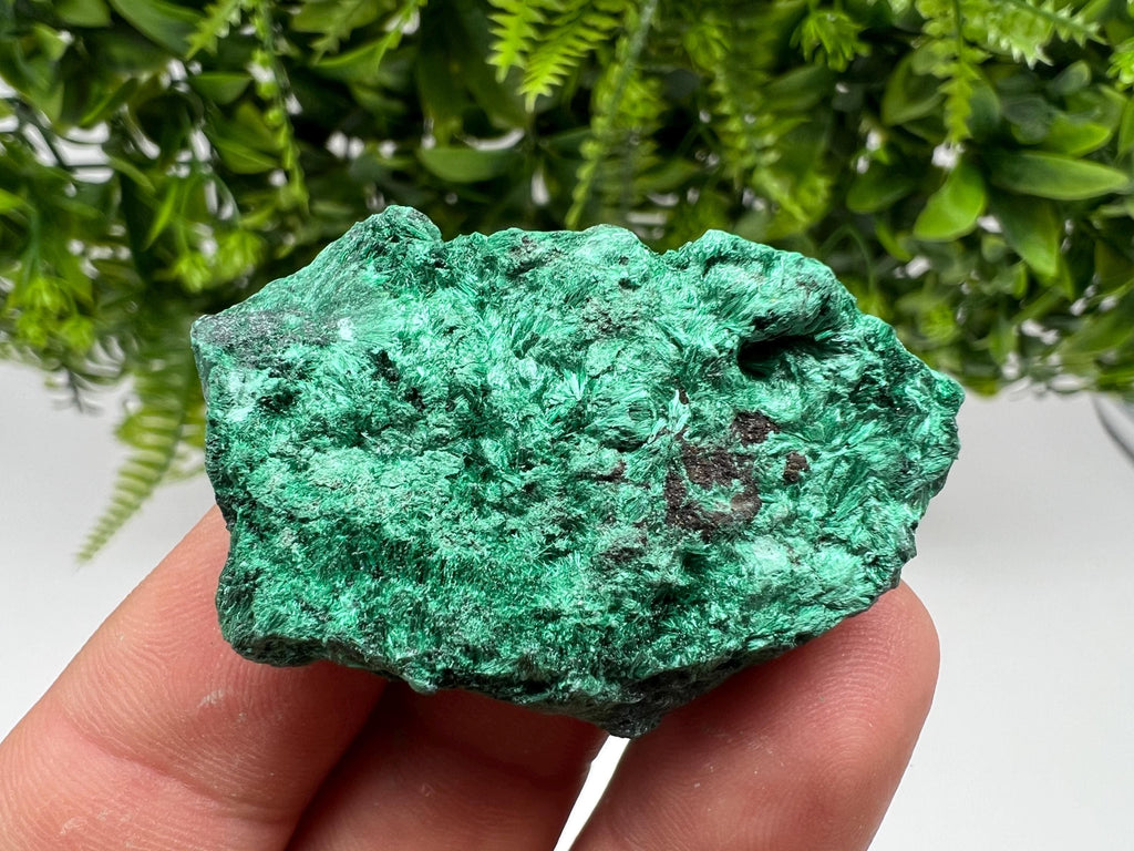 Malachite Crystal from Congo,Minerals,Crystals from Congo,Green Malachite, Malachite,Natural Malachite,Malachite Stone,Chakra, Specimens