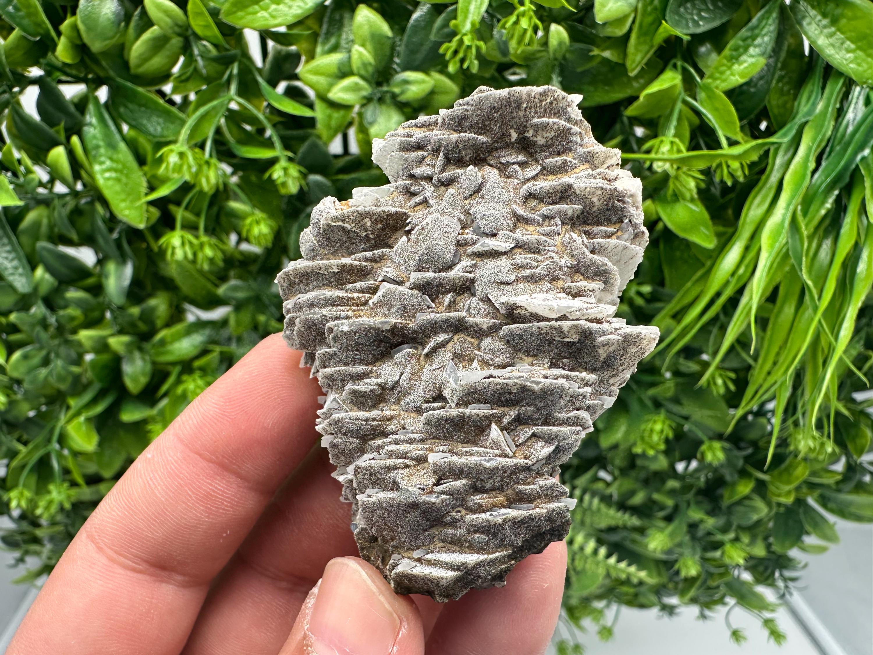 Rare Mangano Calcite Crystal: Borieva Mine, Bulgaria