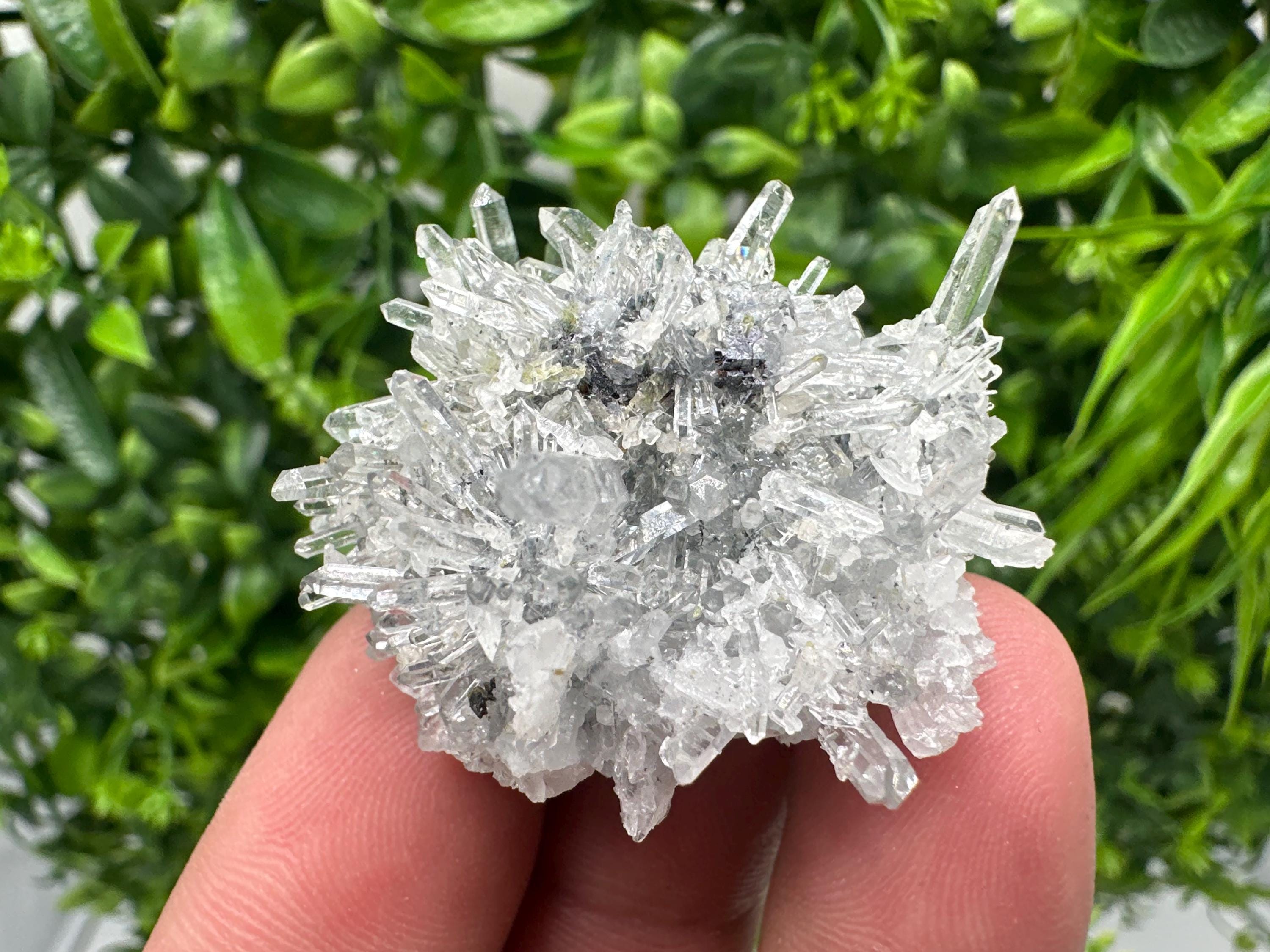 Chlorite Quartz Crystal Cluster - Borieva Mine, Bulgaria