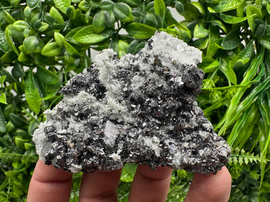Sphalerite on Green Quartz, Madan Bulgaria, Mineral Specimen