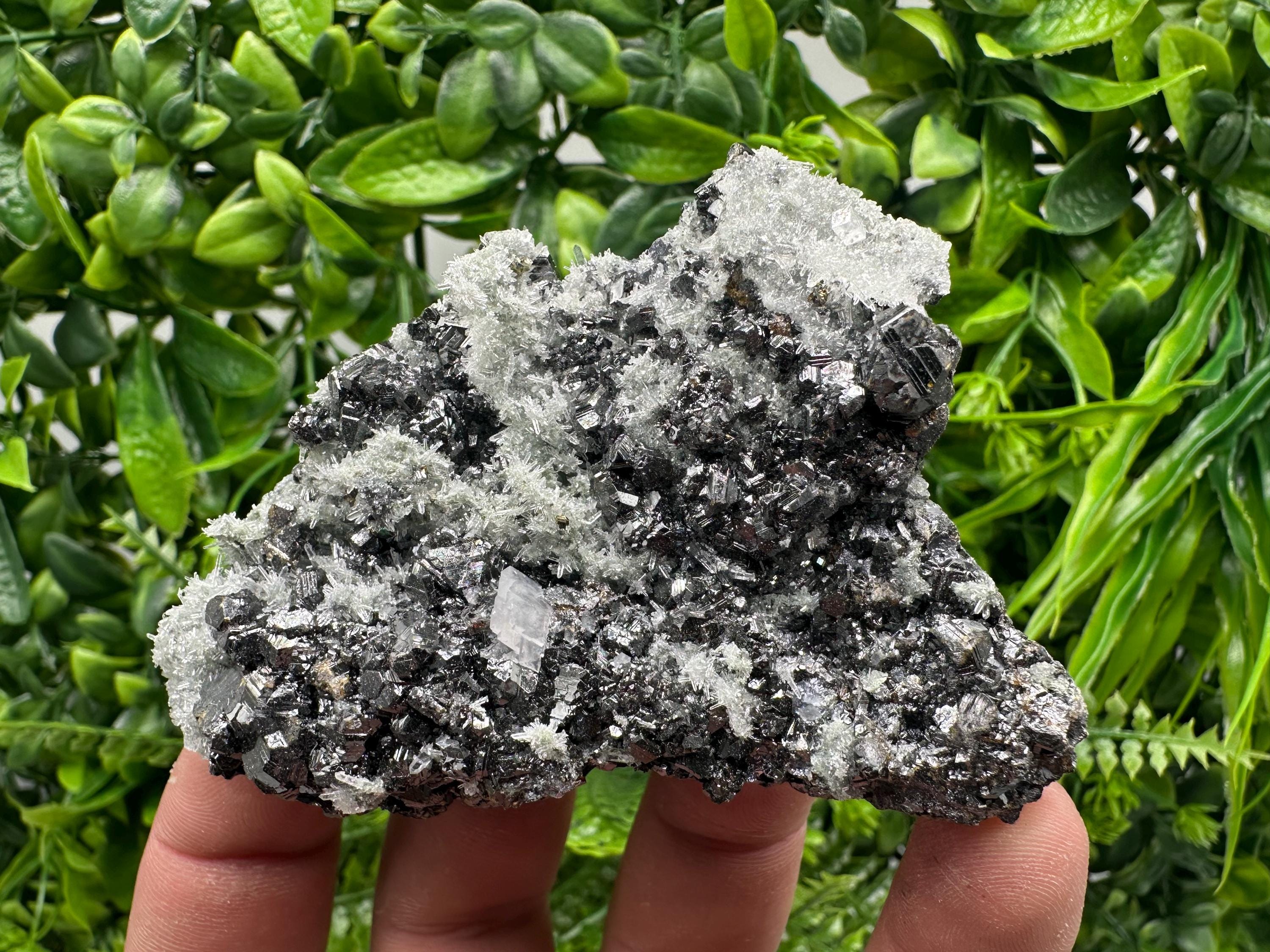 Sphalerite on Green Quartz, Madan Bulgaria, Mineral Specimen