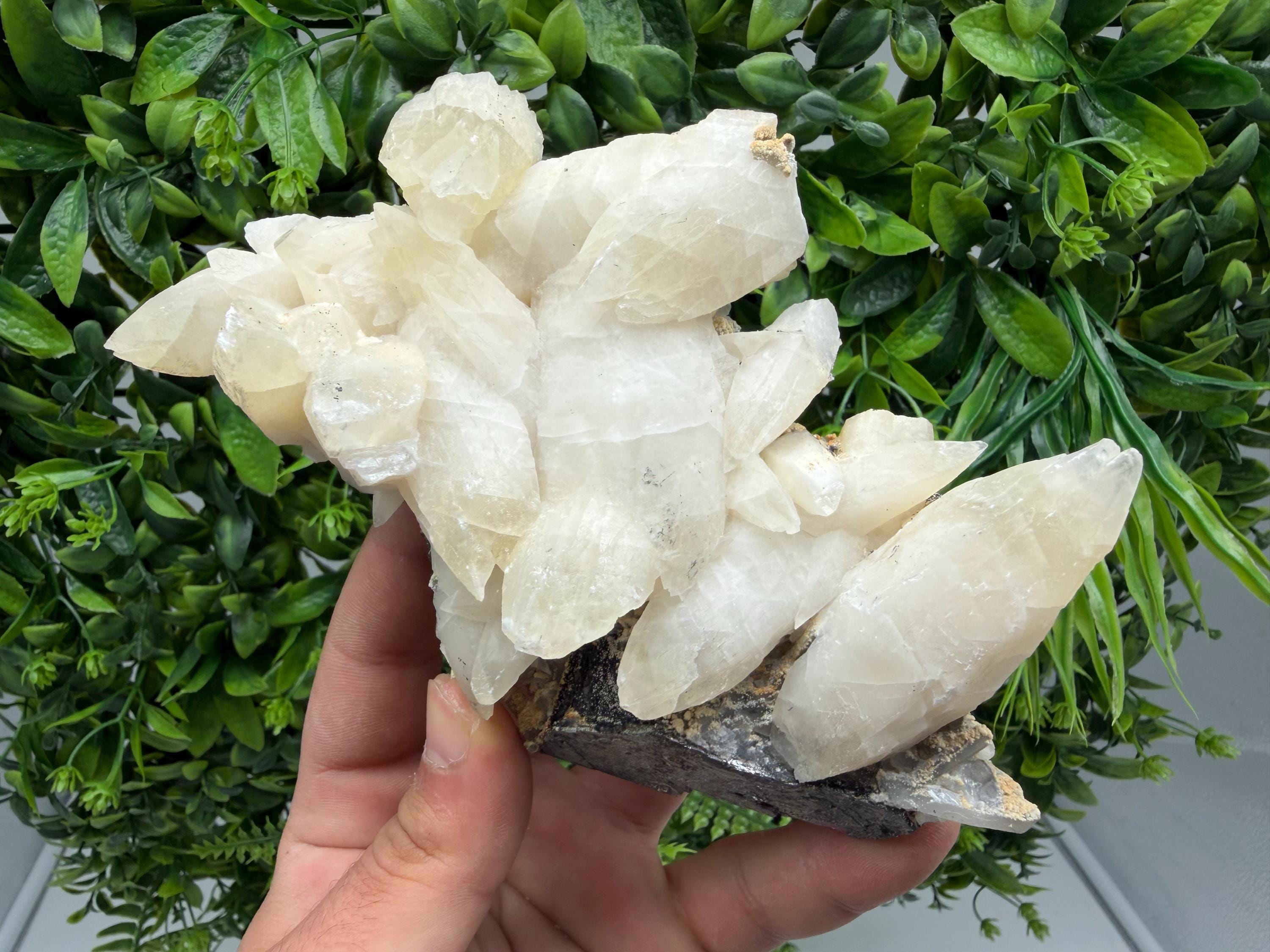Calcite on Green Quartz: Laki Bulgaria Healing Crystal