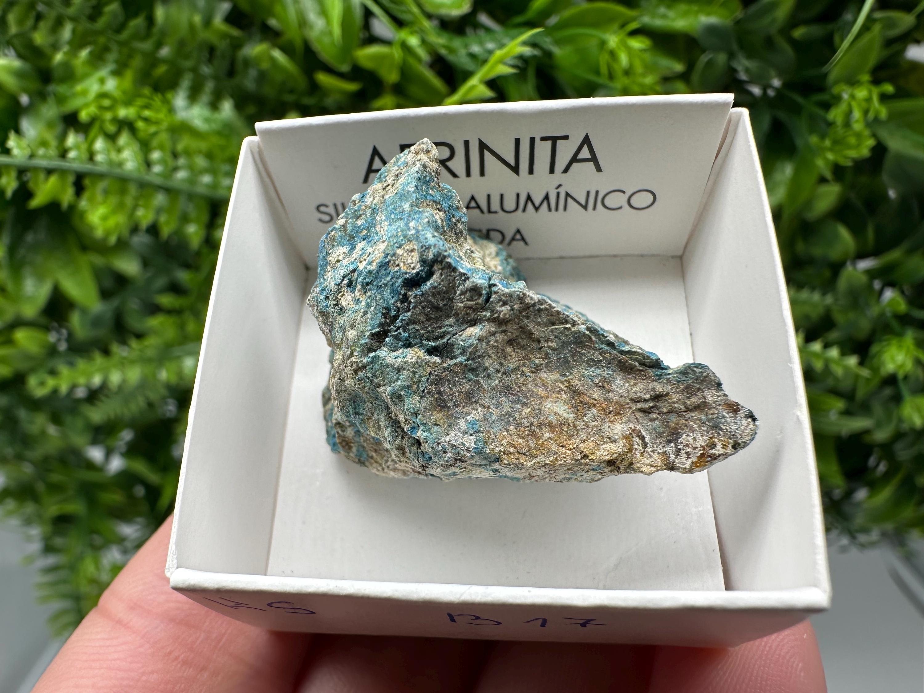 Rare Raw Aerinite Mineral Specimen: Lleida, Spain Crystal