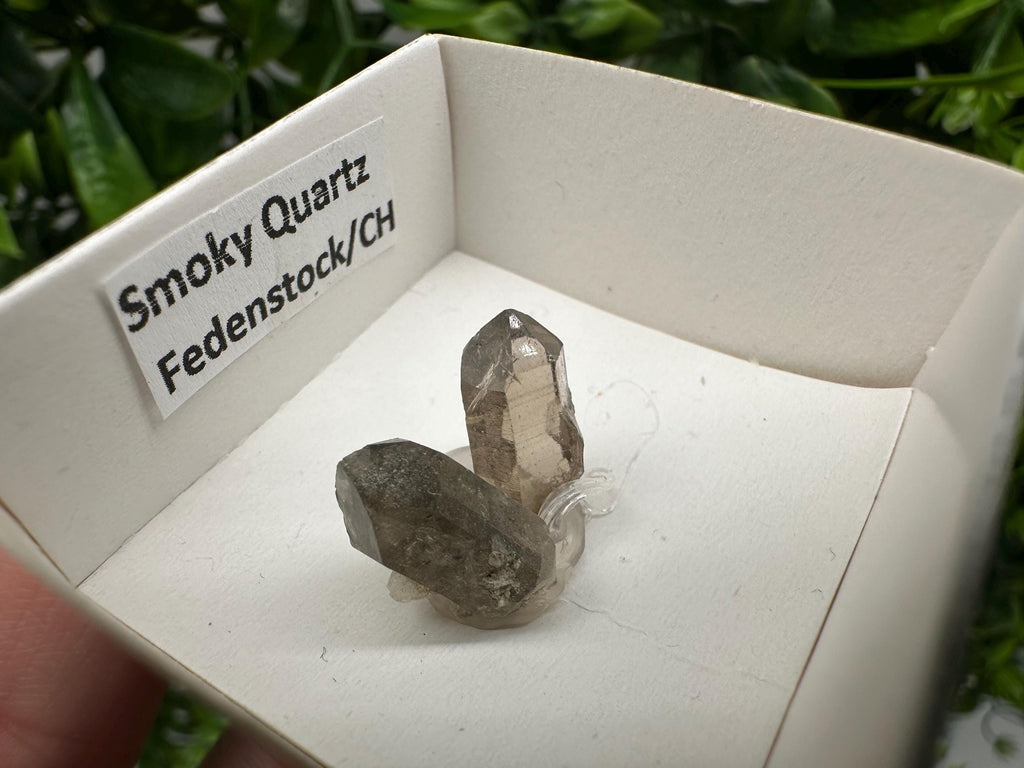 Rare Fedenstock Smoky Quartz Mineral Specimen (17 MM)