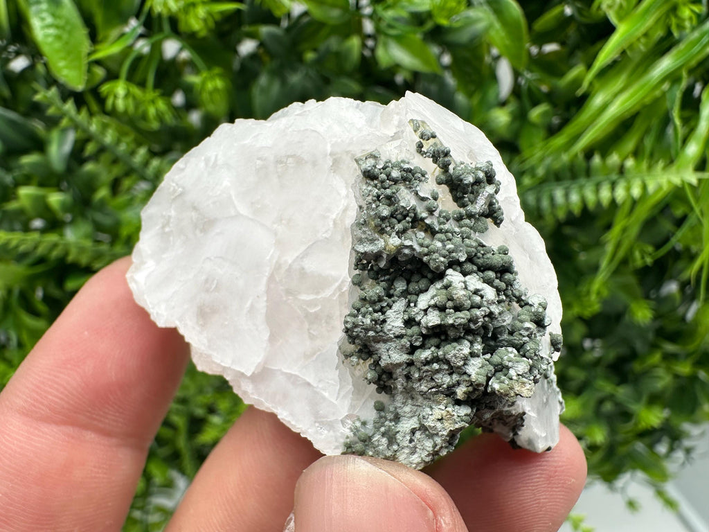 Calcite on Green Quartz: Djurcovo Mine, Bulgaria Crystal