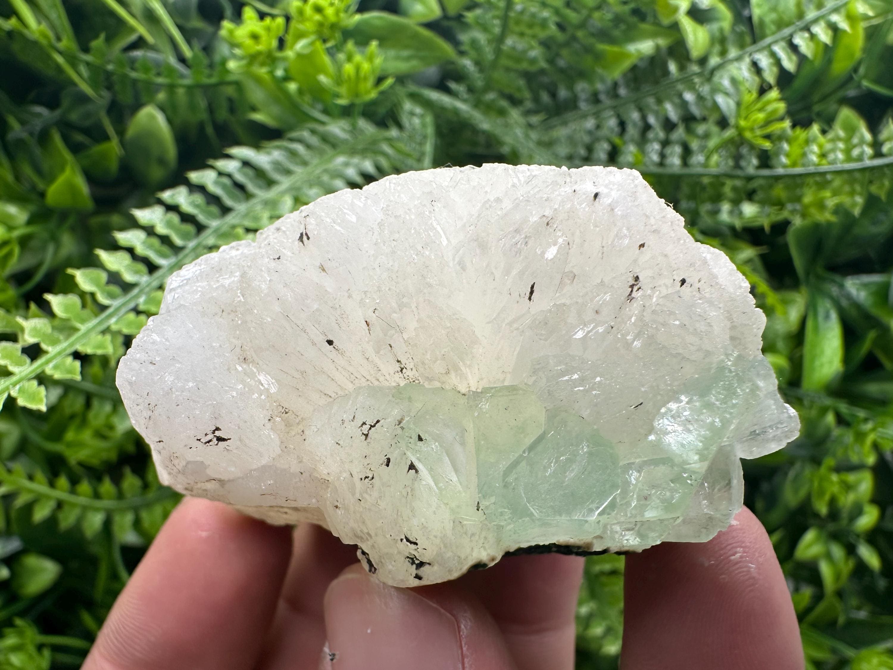 Green Apophyllite with Stilbite, India Crystal Specimen