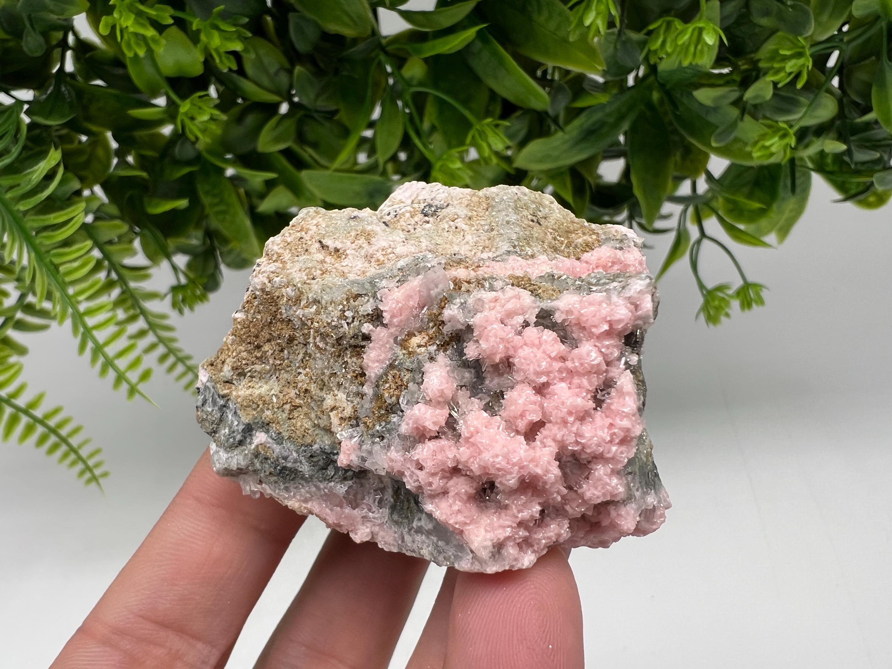 Beautiful Rhodochrosite perfect pink colour Starnica Mine Davidcovo Bulgaria natural minerals souvenir crystal gift home decor stone gift