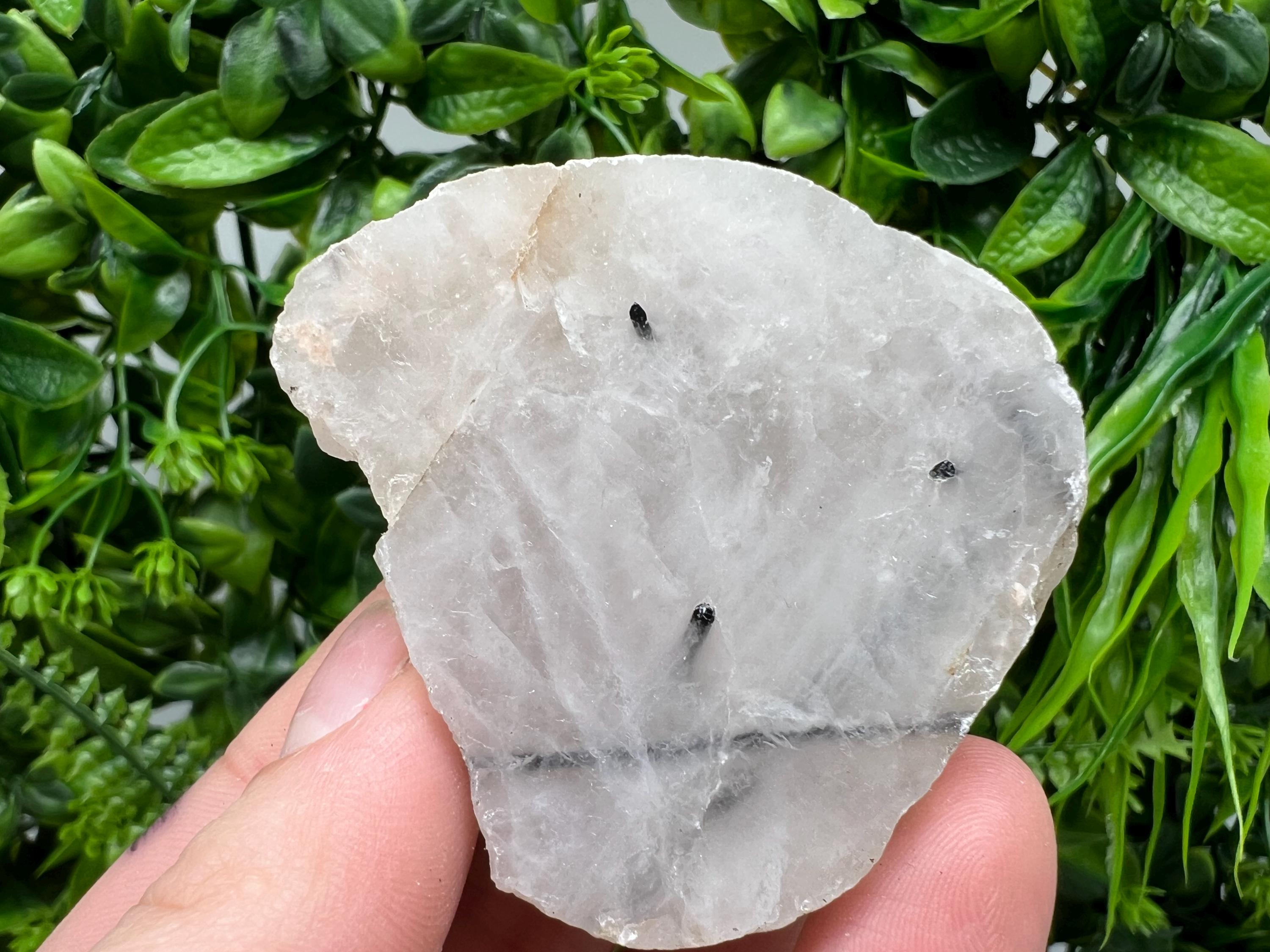 Quartz with Black Tourmaline Polished Slab: Crystal Slice
