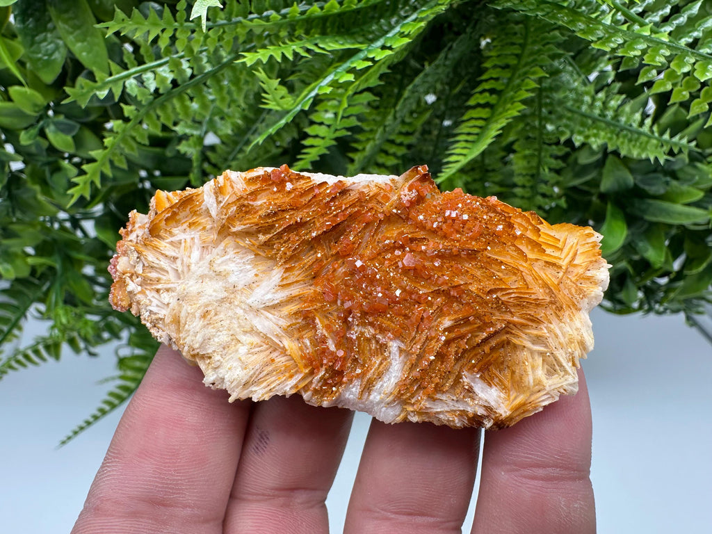 Red Vanadinite on Barite, Morocco Crystal Cluster