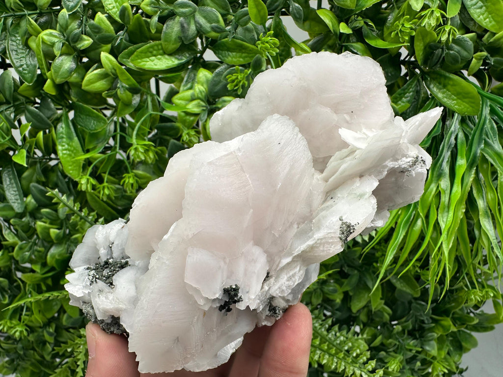 Mangano Calcite Wings on Chlorite Matrix, Bulgaria Mineral Specimen