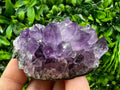 Uruguay Amethyst Crystal: Purple Quartz Phantom - Home Decor