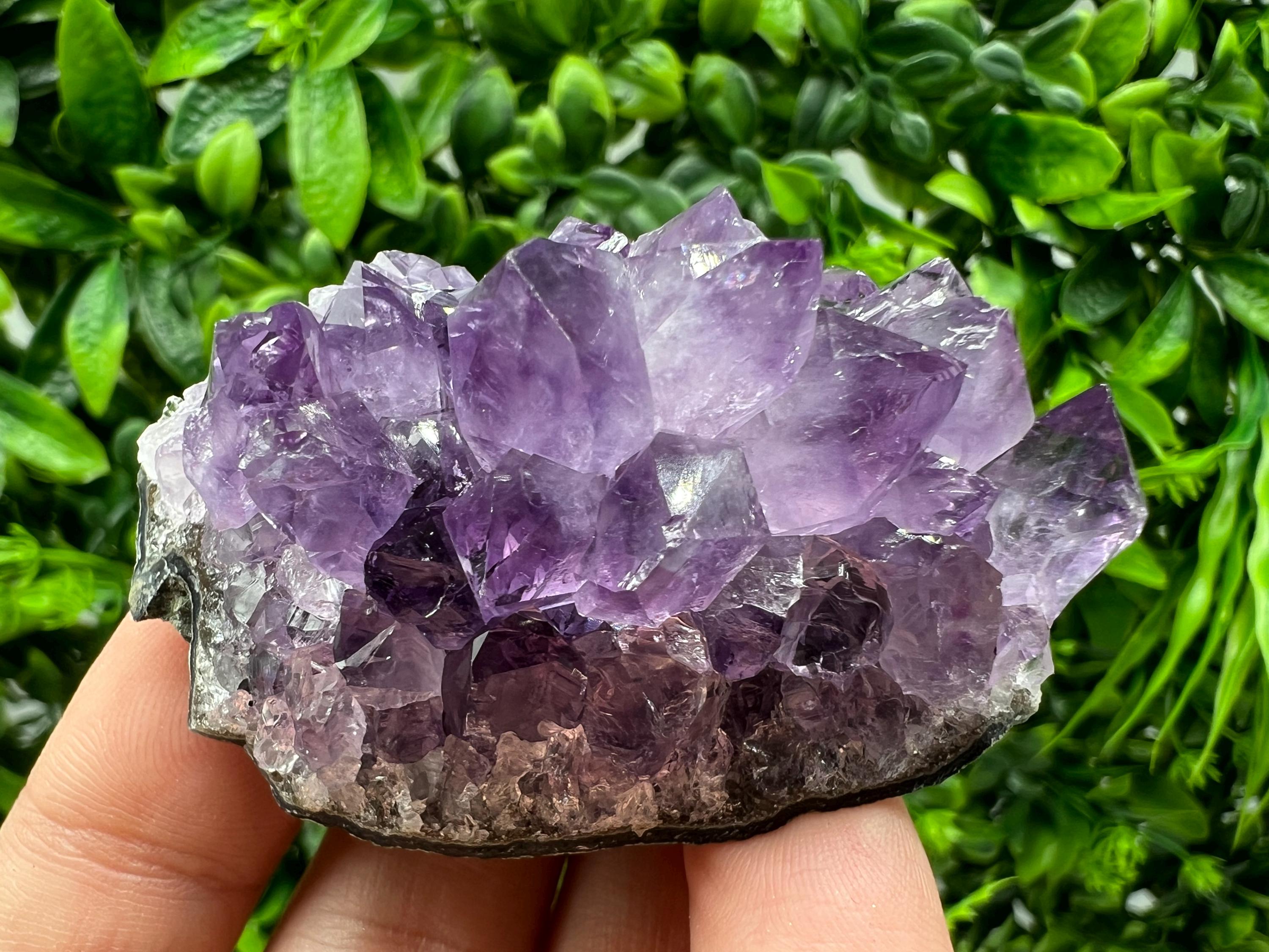 Uruguay Amethyst Crystal: Purple Quartz Phantom - Home Decor