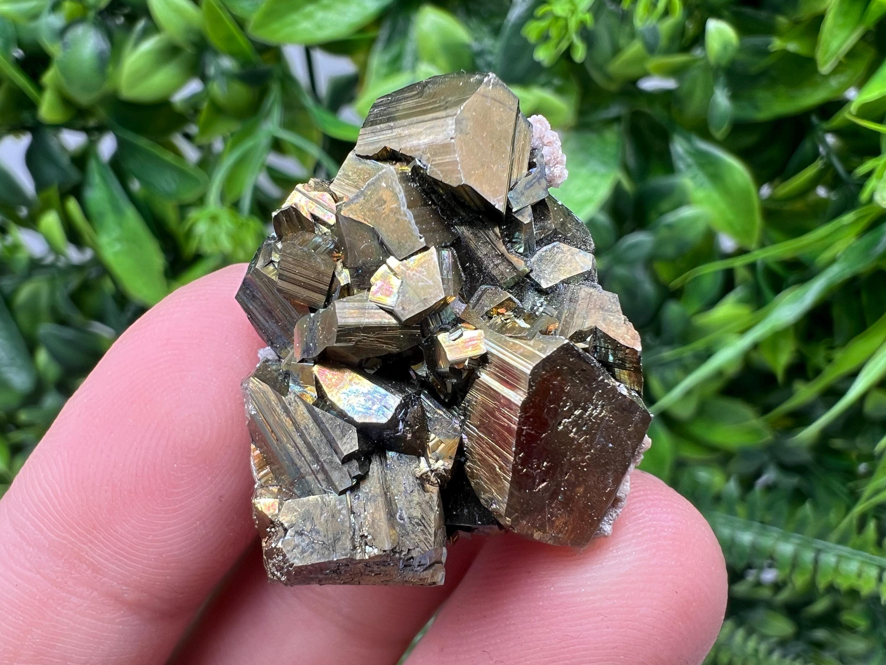 Mini Rainbow Pyrite Cluster: Borieva Mine, Bulgaria