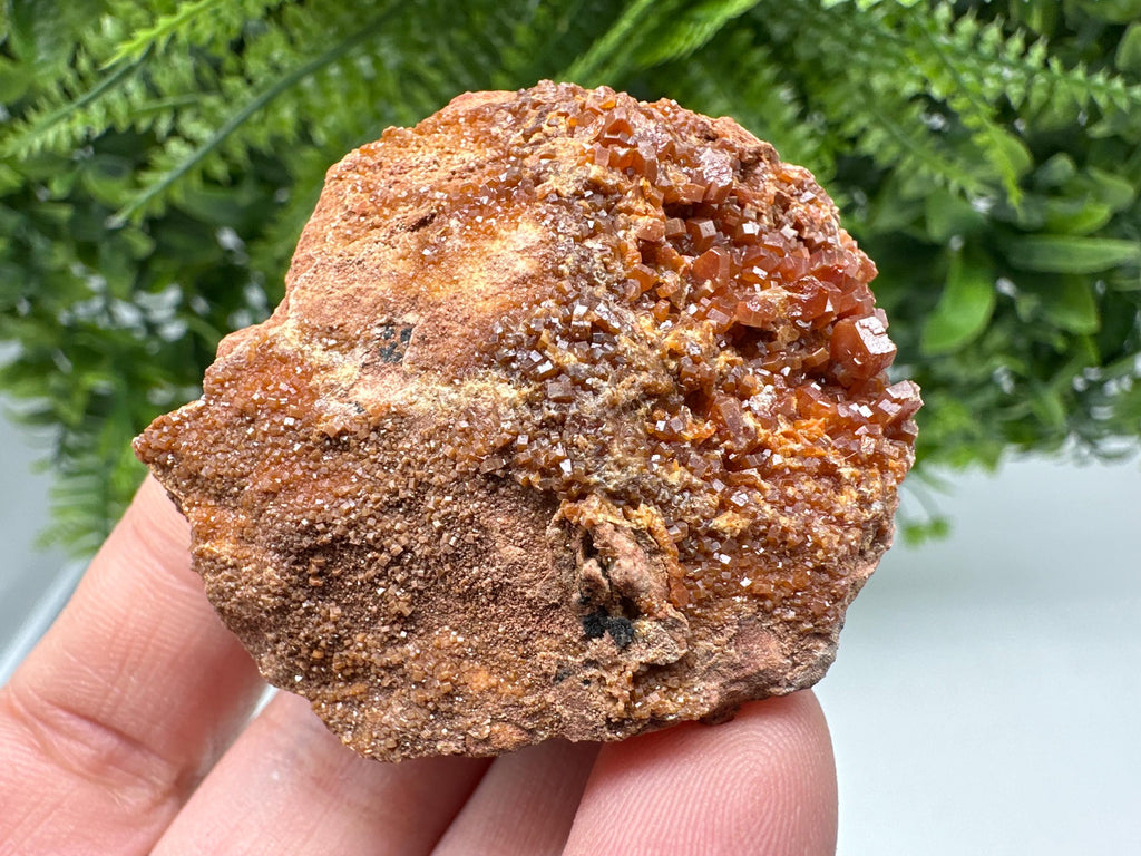 Red Vanadinite on Matrix from Marocco,crystal minerals Speciment cluster Vanadinite crystal Vanadinite Geology Vanadinite cluster minerals