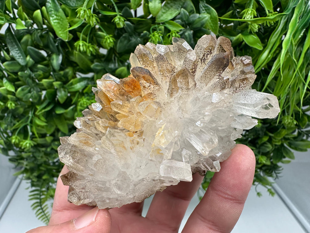 Transparent Quartz whit Siderite 9th September mine Bulgaria natural minerals souvenir crystal stone gift minerals collection rock