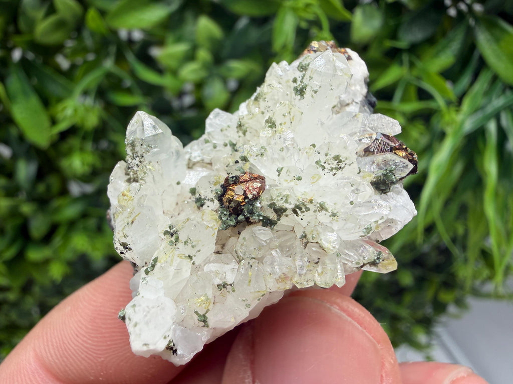 Pyrite Galena on Green Quartz, Chlorite Mineral Specimen, Bulgaria