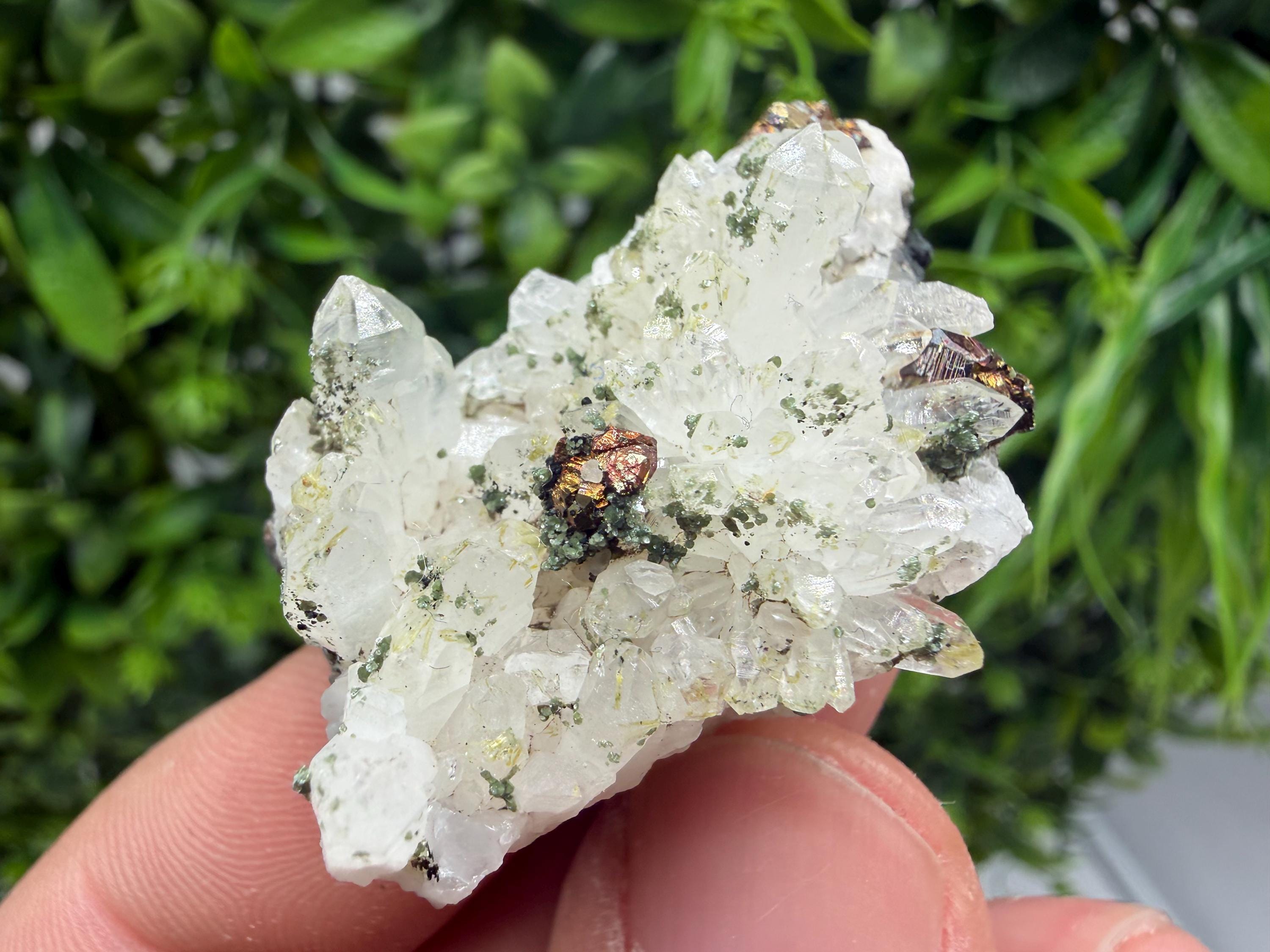 Pyrite Galena on Green Quartz, Chlorite Mineral Specimen, Bulgaria