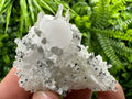 Calcite on Quartz Crystal: Borieva Mine, Bulgaria